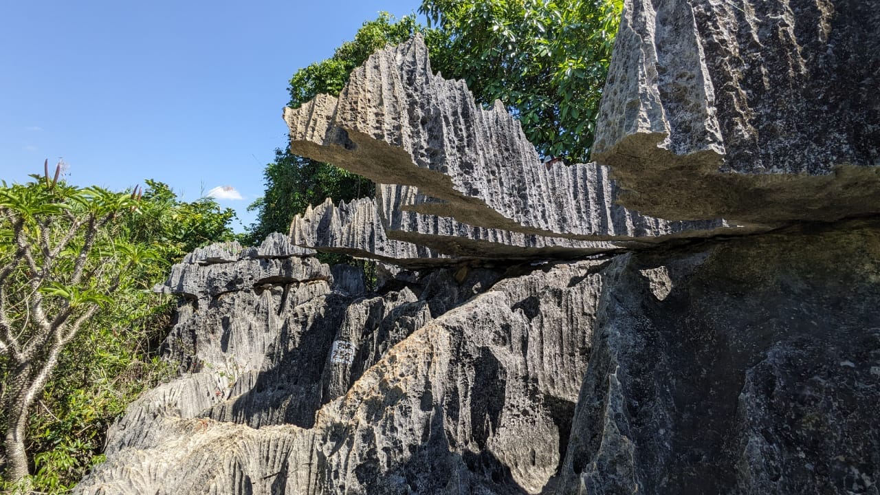 Tsingy de Bemaraha